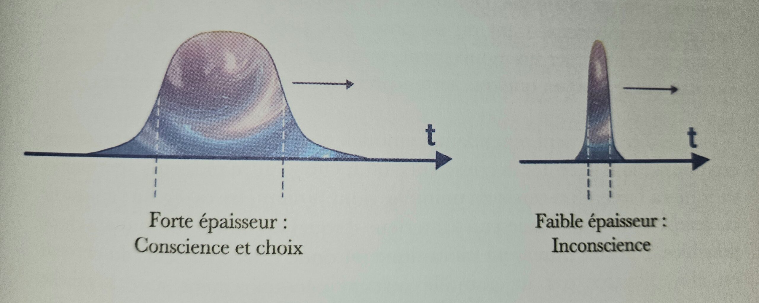 Thérapeute Holistique Intuitive quantique énergéticienne basée dans le PACA