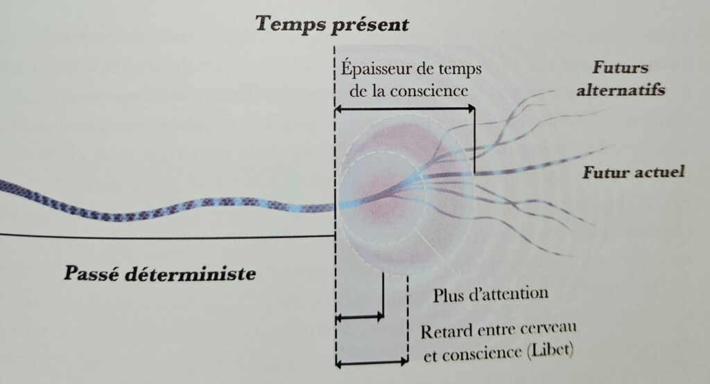 Thérapeute Holistique Intuitive quantique énergéticienne basée dans le PACA