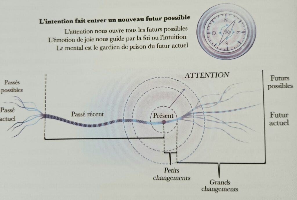 Thérapeute Holistique Intuitive quantique énergéticienne basée dans le PACA