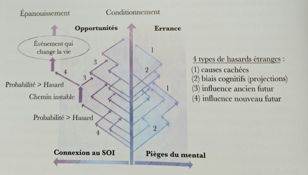 Thérapeute Holistique Intuitive quantique énergéticienne basée dans le PACA